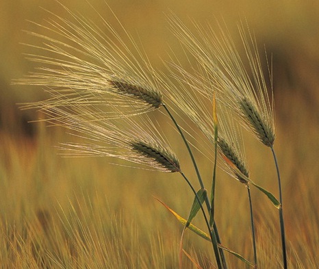 Απολογισμός πεπραγμένων τριετίας
