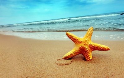 Ακτοπλοϊκά εισιτήρια με έκπτωση εώς 40%