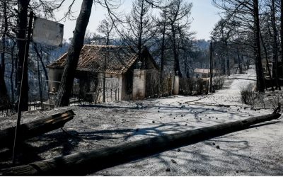 Να ανοίξουν τα καταστήματα στις πυρόπληκτες περιοχές